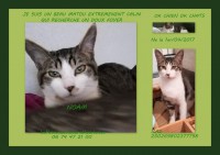 /album/galerie-photo/montages-jpg/