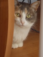 /album/galerie-photo/a64710173-2531271490238708-3848491216354148352-n-jpg1/