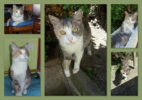 /album/galerie-photo/a10525804-810444342321440-6930461978668168259-n-jpg/