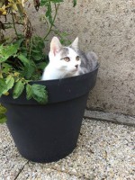 /album/galerie-photo/a74286884-2786672428031945-8481004574876893184-n-jpg1/